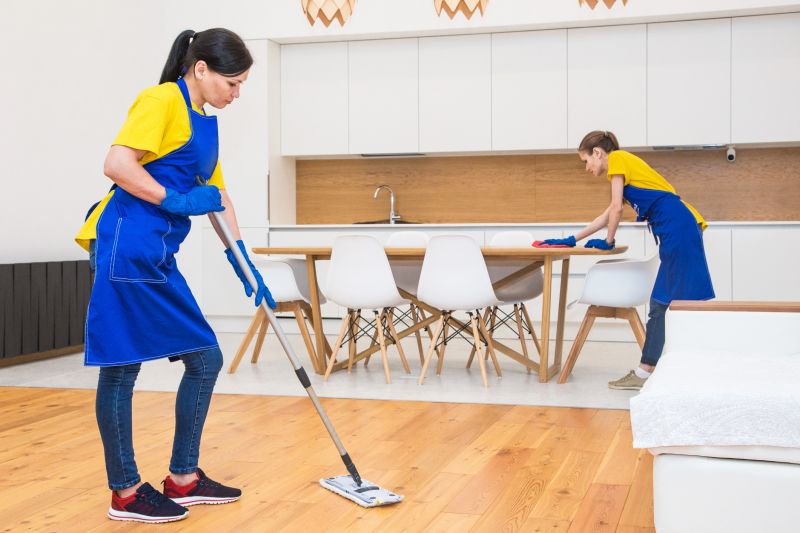Reo Property Cleaning in Bellevue, WA