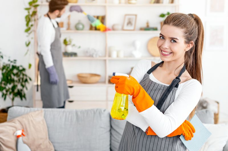 Reo Property Cleaning in Renton, WA